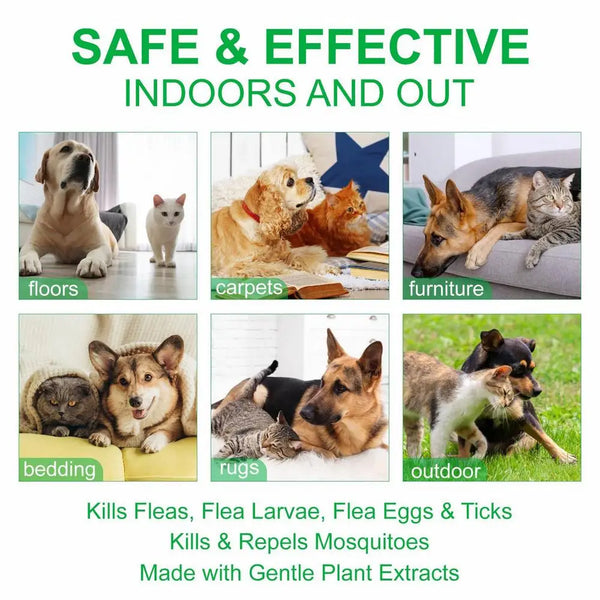 100ml Natural Care Flea And Tick Spray For Dogs And Cats Flea Spray For Indoor Outdoor Dogs And Cats Flea Spray Pet Protect
