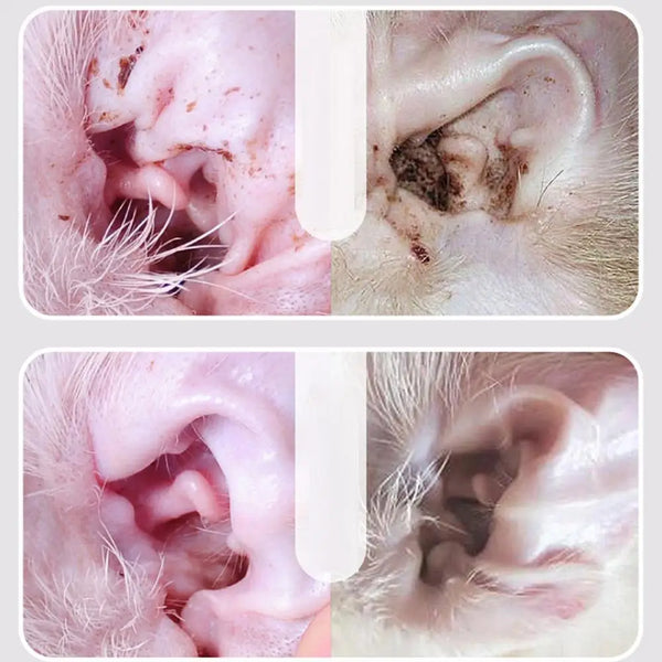 Cat Dog Ear Cleaner 60ml Cleaning Dog Cat Ear Liquid Natural Home And Travel Use Daily Pet Skin Care Ear Stain Removal Liquid