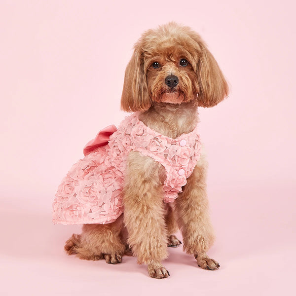 PRINCESS Dress Embroidered Flower Pink  Pet Spring Summer Dresses