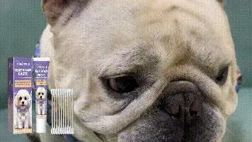 Yegbong Pet Dogs. Gentle Cleaning Of Dirt And Tear Stains. Moisturizing Care For Dog Eye Ointment