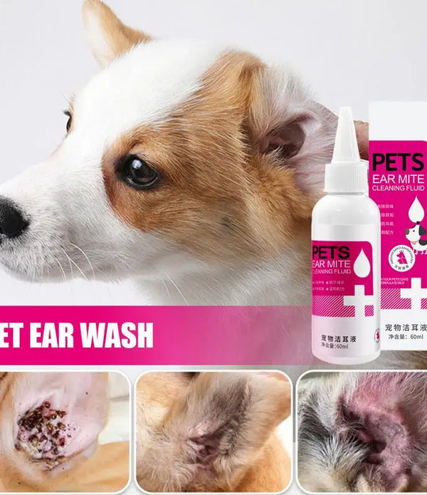 Cat Dog Ear Cleaner 60ml Cleaning Dog Cat Ear Liquid Natural Home And Travel Use Daily Pet Skin Care Ear Stain Removal Liquid