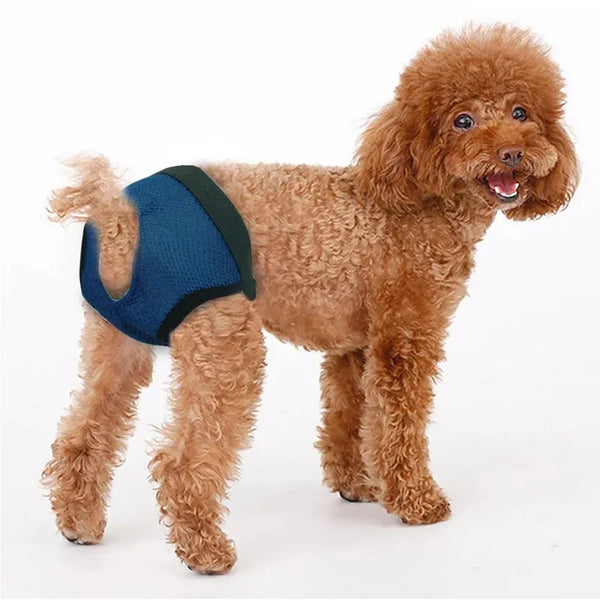 Pets Physiological Washable Menstruation Briefs Dog Leak Proof Hygiene Kecks Panties for Small Large Dogs Pet Sanitary Underwear