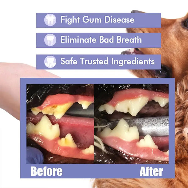60ml Pet Spray Dog Oral Care Bad Breath Teeth Cleaning Freshener Pet Pet Remover Deodorant Supply Plaque Breath Care L2t8