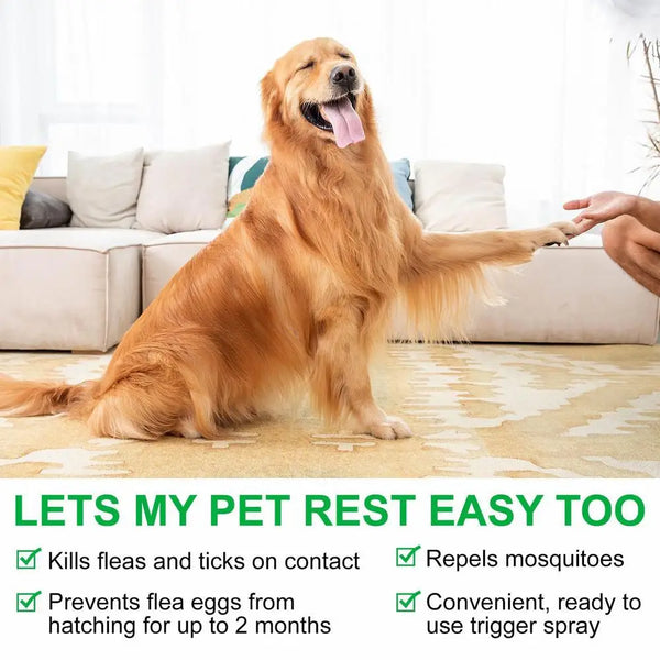 100ml Natural Care Flea And Tick Spray For Dogs And Cats Flea Spray For Indoor Outdoor Dogs And Cats Flea Spray Pet Protect