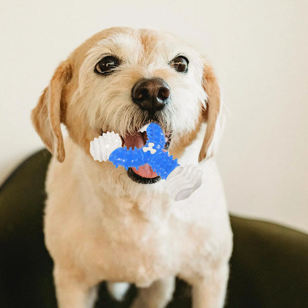 Durable Nylon Dog Chew Toys Bones for Small Medium Large Dogs Puppy Interactive Squeaky Teeth Cleaning Blue Easy Clean Pet Toy