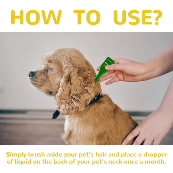 Cat Anti Flea Drop Flea Lice Killer Mite Insect Treatment Repel Parasite Relieve Itching Anti Tick Protection Pet Flea Repellent