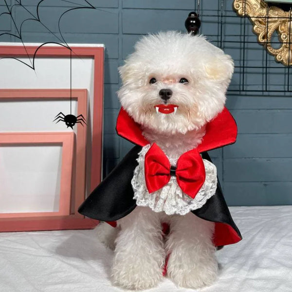 Pet Halloween Vampire Cape for Small or Medium Dogs