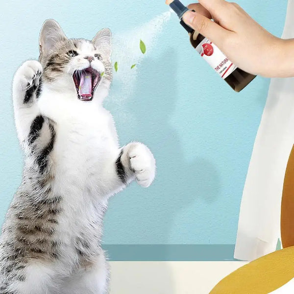 30ml Pet Tooth Cleaning Spray Dogs Remove Bad Breath Freshener Cats Oral Cleaning Dental Care Deodorization Spray Whitens Teeth