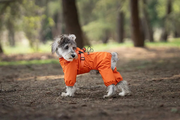 Dog Raincoat with Harness Waterproof Pet Jumpsuit for Small Medium Dogs Adjustable Reflective Puppy Rain Coat Chihuahua Rainwear