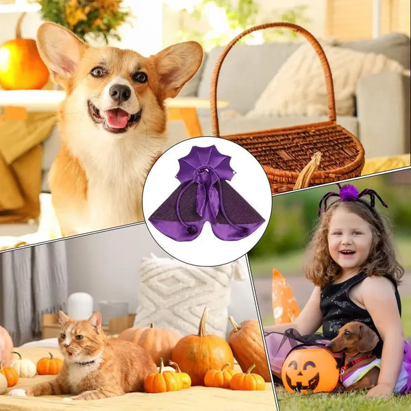 Pet Halloween Costume Wizard or Witch Costume Cloak Witch Hat Halloween For S/M Cats or Dogs