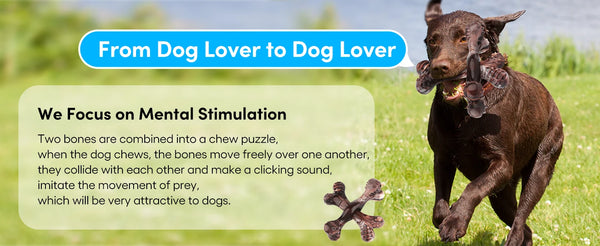Chew Toy For Aggressive Dogs, Virtually Indestructible Nylon Bones, Tough Teeth Cleaning Toy For Small, Medium Or Large Dogs